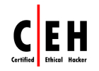 certified ethical hacker certificate